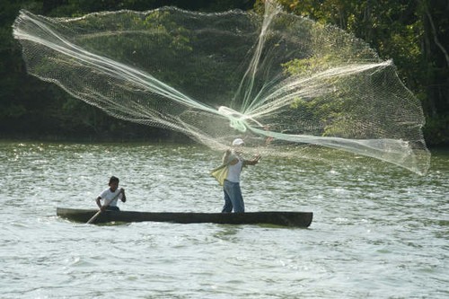 02 Fisherman in the Rio Dulce.JPG © Ian & Andrea Treleaven